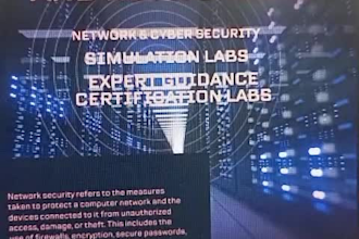 be network engineer, network support, and troubleshoot issue