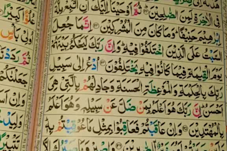 be your online quran teacher, learn quran with tajweed for kids and adults