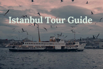 give you a customized tour guide in istanbul