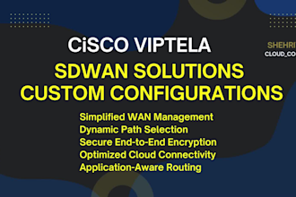 do sdwan network simulations, configurations, cisco viptela