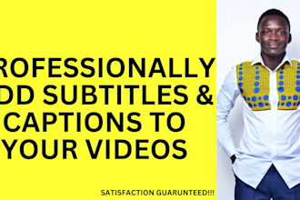 professionally add subtitles and captions to your videos