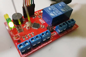 consult you in your embedded electronic, automation project