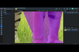 do amazing annotation for your image,video,text,data