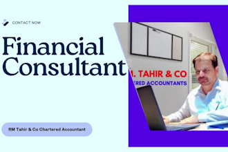 do financial projections, forecasts, modeling and budgeting
