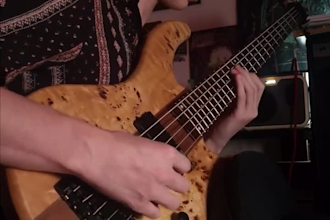 be your pro session studio bass player