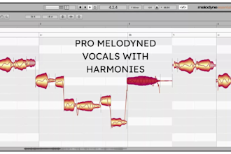 professionally tune, edit and mix your vocals