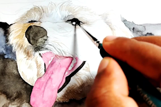 do custom pet portrait, cat portrait, dog portrait drawing
