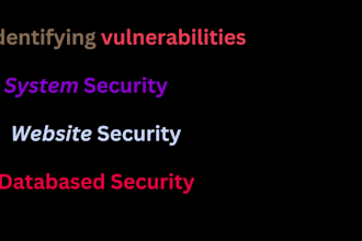 penetration testing on your web application