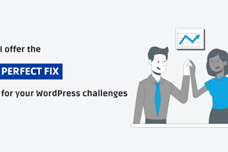 customize or modify your wordpress website professionally