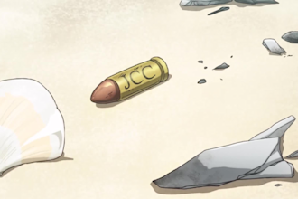 do 2d animated video,traditional frame by frame,2d fighting scene,2d anime video