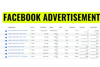 manage your shopify store as your dedicated virtual assistant