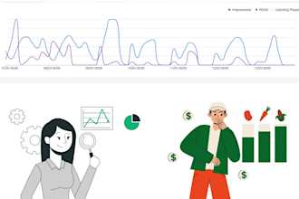 setup and optimize high converting shopee ads campaigns