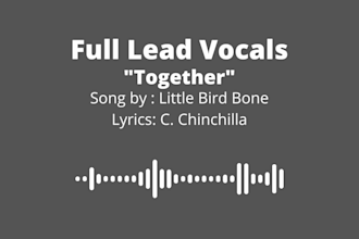 sing your song, backing vocals, jingle, you name it