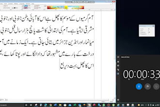 do all kind of urdu typing and composing