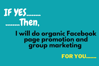 do organic facebook page promotion and group marketing