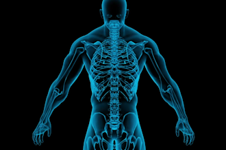 3d medical anatomy animation medical animation 3d medical animation video