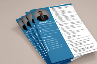 provide job winning professional resume design and cv writing services