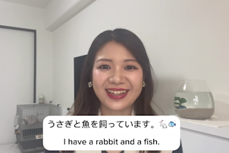 teach you japanese on google meets, skype or zoom