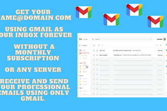 give you pro email using gmail and your domain free forever