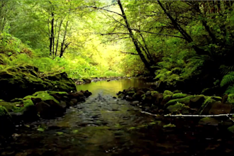 make 10x10 hours meditation, relaxing rain thunder and nature sounds video