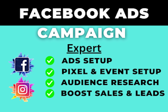 setup and manage facebook ads campaign