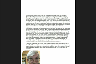 proofread your word or google docs book manuscript