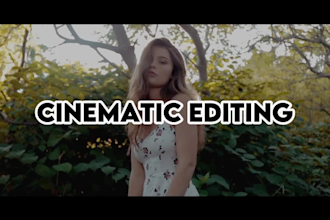 do expert video editing and motion graphic