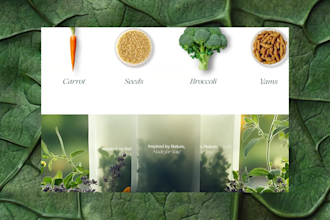 design therapy, mental health, medical, or dental clinic website