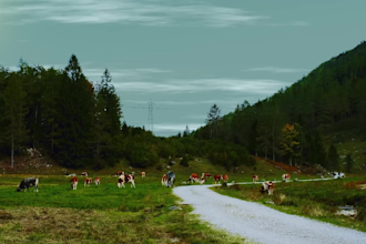 color correct your video