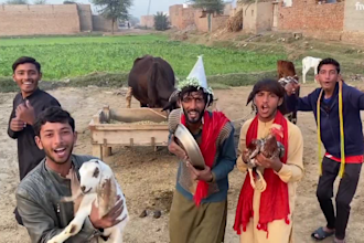 wish african happy birthday video funny birthday video