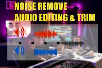 do professional audio editing  with effects and noise reduction