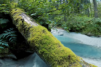 create copyright free relaxing meditation music videos