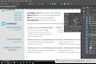 rewrite, edit and design a succesful resume, CV