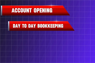 do qbo,  xero bookkeeping, bank reconciliation for ecommerce
