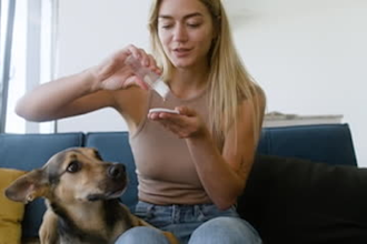 create dog or cat ugc videos for your pet product and services, tiktok