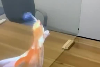 create a 3d hologram, futuristic, hud 3d logo intro animation