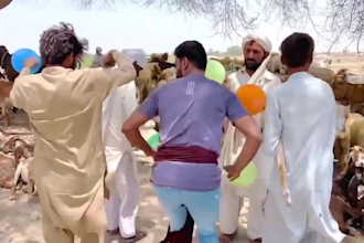 make crazy funny happy birthday african video or spokperson