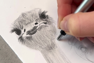 draw your dog, cat or any pet as a unique pencil portrait