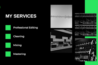 professionally edit, clean, fix and master your audio