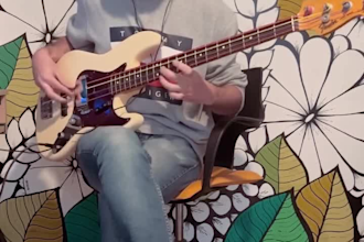 teach you bass lessons in spanish