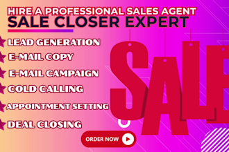 be your high ticket salesperson sales rep virtual assistance sales closer agent