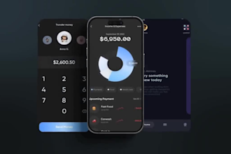 app promo video, app demo video, app trailer,app explainer vide0, app screenshot
