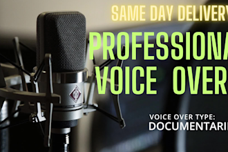 create narrative documentary style ads explainer voice overs