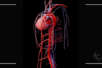 create a 3d medical model
