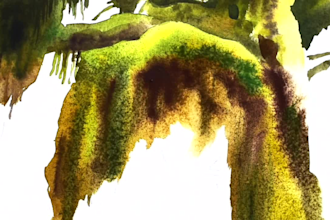 draw soft watercolor childrens book illustrations for you