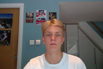provide online tutoring in a level physics
