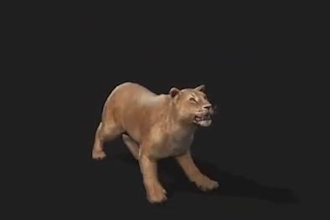 do integrate realistic cgi animal models, cgi animal animation,3d animal rigging
