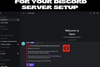 do discord setup, discord server with custom bot and automation