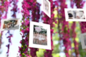 edit stunning slideshow videos for birthdays, weddings, or promotions