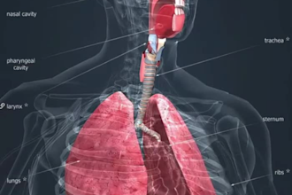 do 3d medical animation surgery animated explainer video
